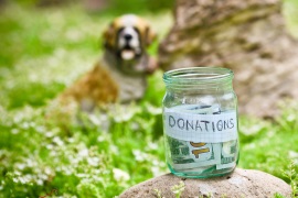 Make a donation