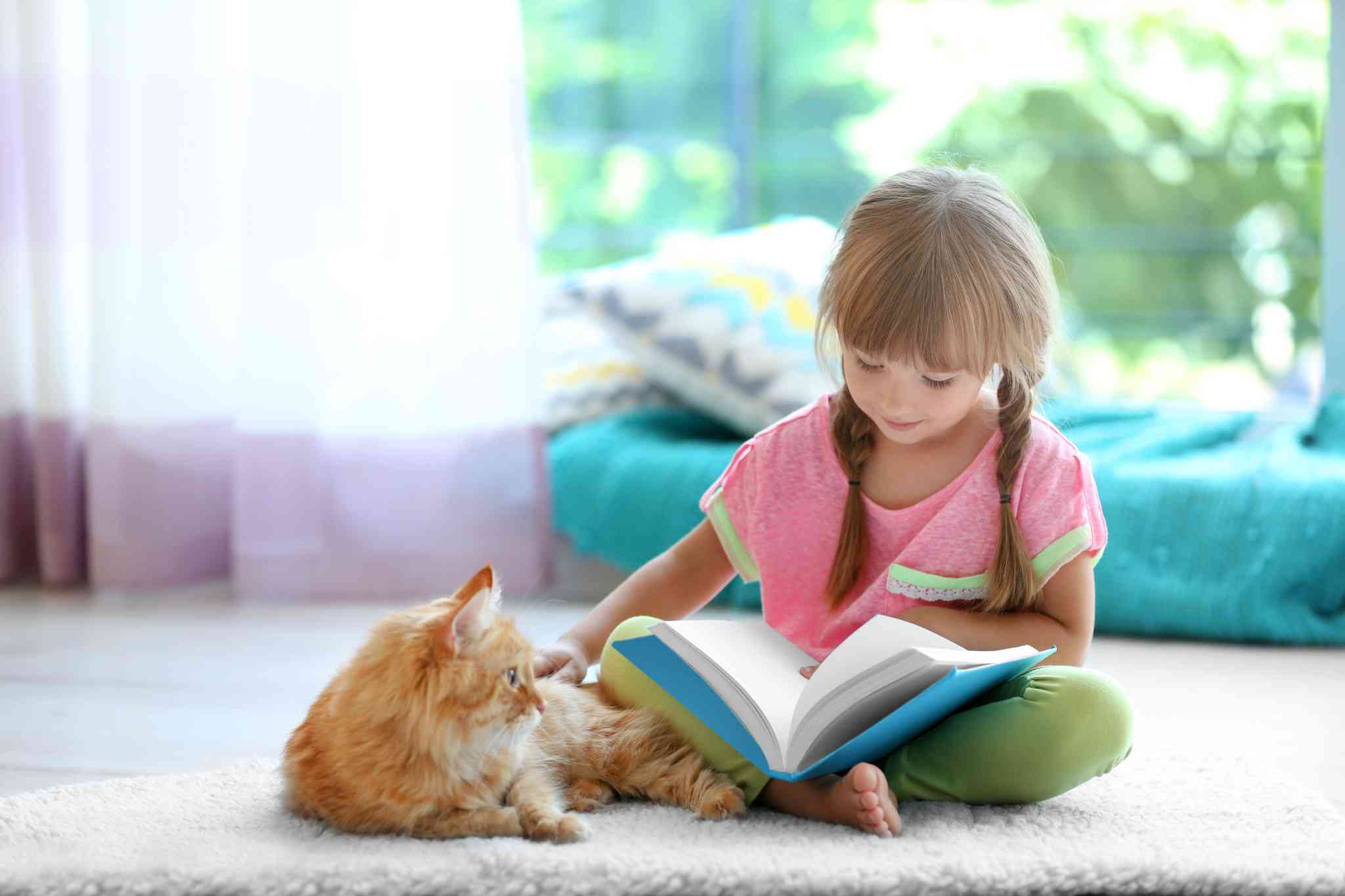 Free Pet guide download
